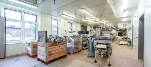 200m² Commercial property in Ludwigslust-Parchim, Germany No. 342461 4