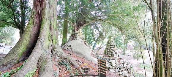 1 Schlafzimmer Wohnung in Lessy, France, Nr. 350201 8