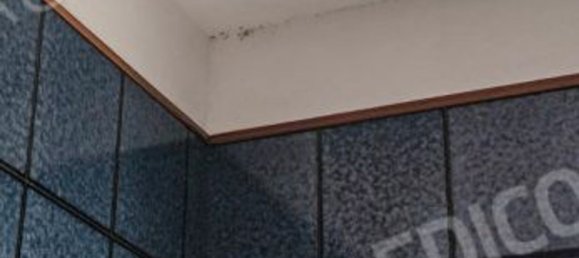 Casa de 8 divisões em Venice, Italy N.º 208029 40