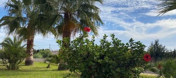 5 غرف نوم منزل في Alicante, Spain رقم 21304 7