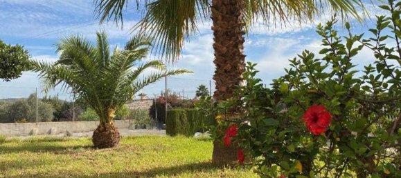 5 غرف نوم منزل في Alicante, Spain رقم 21304 4