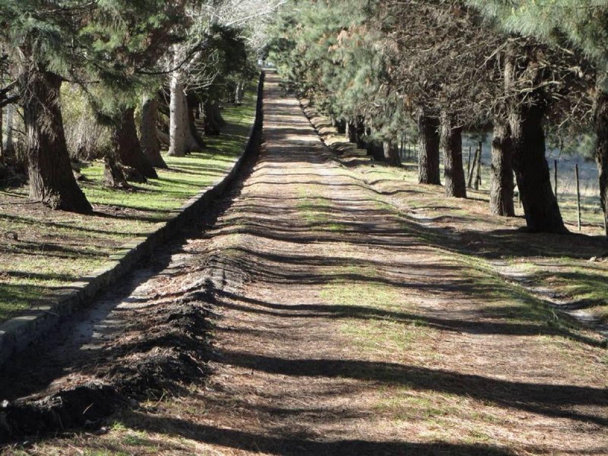 Casa de 4 dormitorios en Mar del Plata, Argentina No. 73941