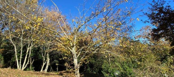 7 bedrooms House in Roccastrada, Italy No. 218782 34