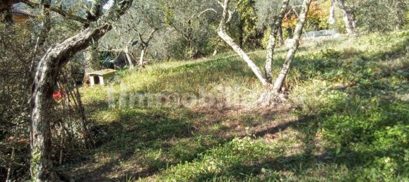 3 Schlafzimmer Haus in Monsummano Terme, Italy, Nr. 78428 8