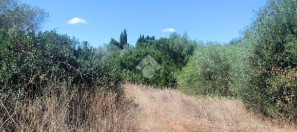  Land in Sassari, Italy No. 342947 2