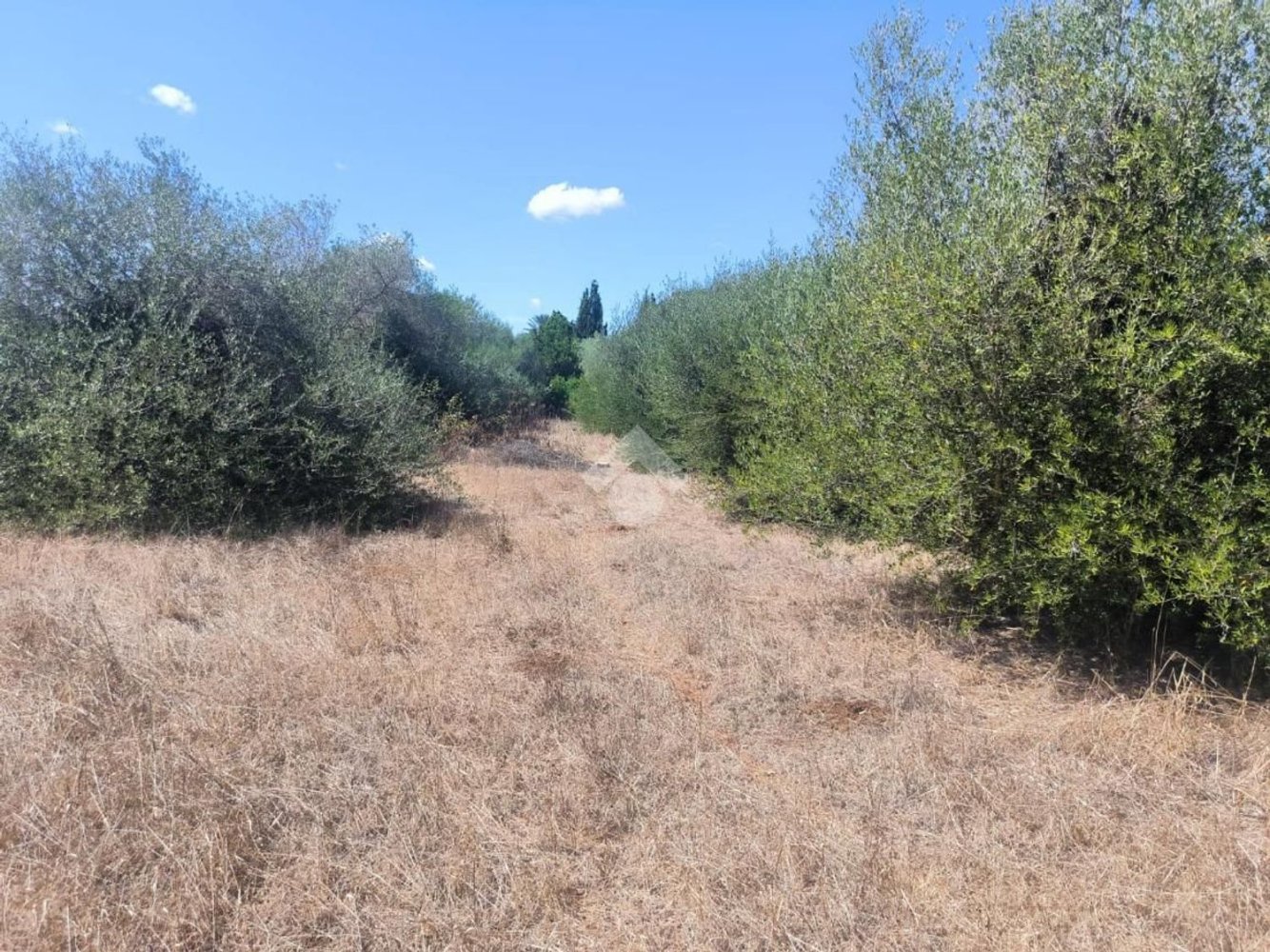  Land in Sassari, Italy No. 342947