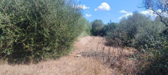  Land in Sassari, Italy No. 342947 4