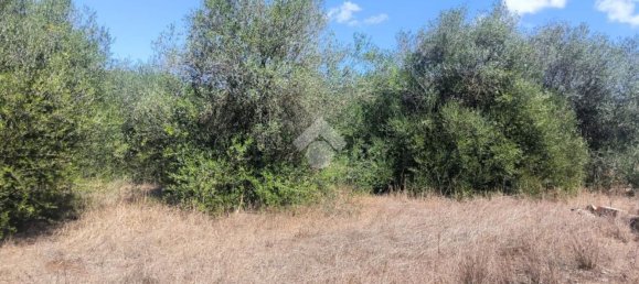  Land in Sassari, Italy No. 342947 5