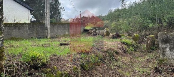 3 bedrooms House in Sabariz, Portugal No. 36819 29