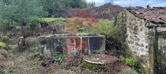 3 bedrooms House in Sabariz, Portugal No. 36819 25