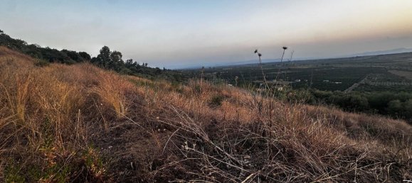 Terrain à Paternò, Italy No. 349201 17