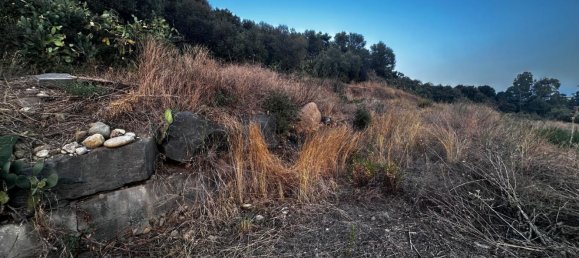 Terrain à Paternò, Italy No. 349201 3