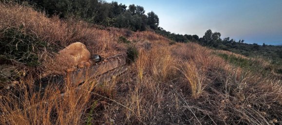 Terrain à Paternò, Italy No. 349201 23