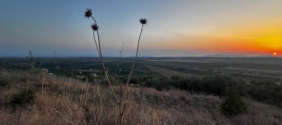 Terrain à Paternò, Italy No. 349201 18