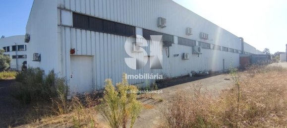 500m² Warehouse in Santo Tirso, Portugal No. 138735 4