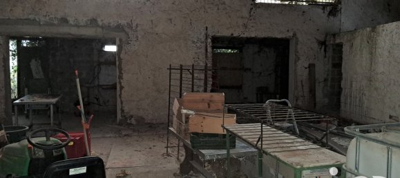 Bâtiment à Lapugnoy, France 800m² No. 211633 14