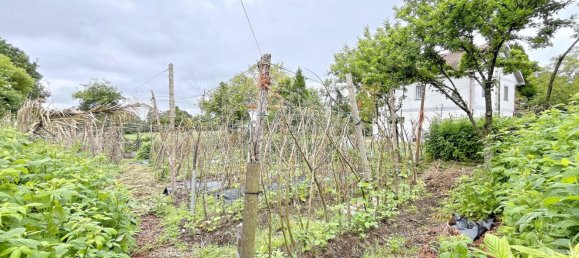 Casa de 5 dormitorios en Curtis, Spain No. 44295 5