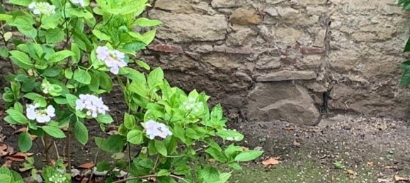 3-Zimmer Wohnung in Hietzing, Austria, Nr. 209634 4