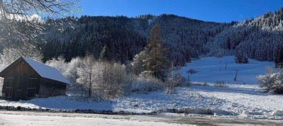  Land in Gnesau, Austria No. 166046 4