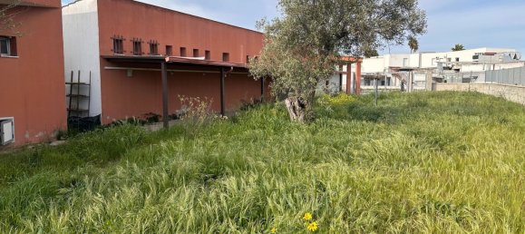 6800m² Land in Simeri Crichi, Italy No. 124939 10