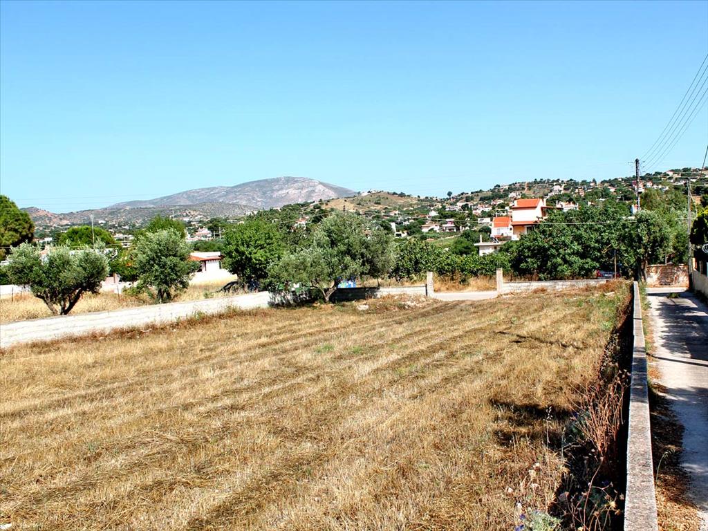 Hotel en Koropi, Greece 1385 m² No. 7111