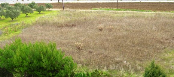 3000m² Property in Thermaic Gulf, Greece No. 6504 15