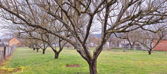 2 Schlafzimmer Haus in Haute-Marne, France, Nr. 338481 3