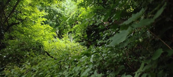 1872m² Land in Wolfsberg, Austria No. 163610 3