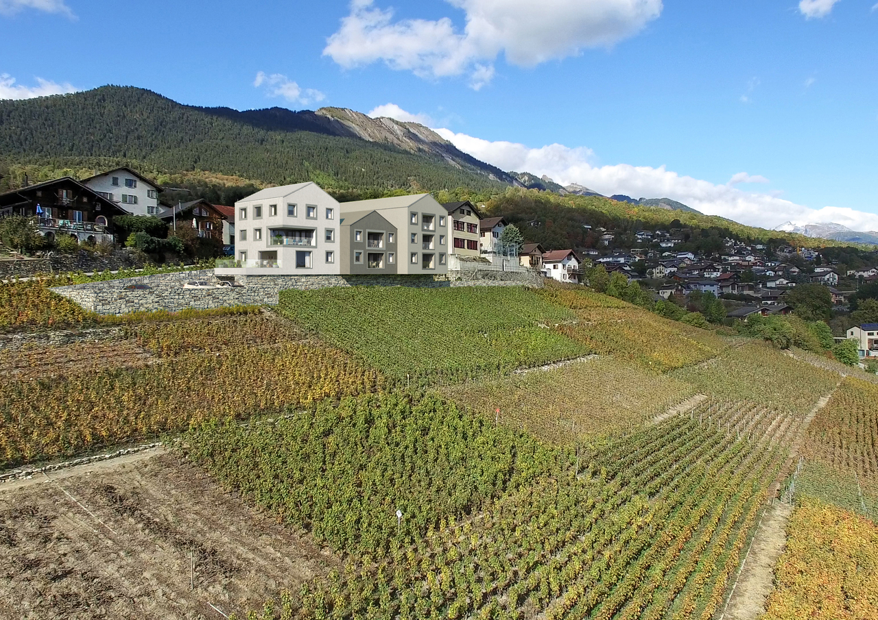Studio in the Condo in Saviese, Switzerland No. 438