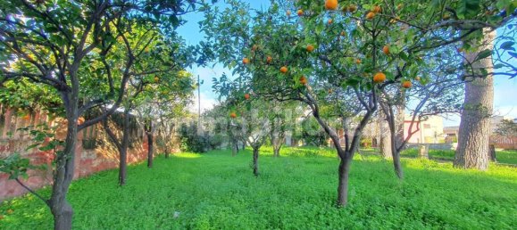 5 Schlafzimmer Villa in Spongano, Italy, Nr. 199963 39