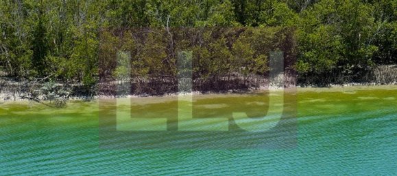 4 Schlafzimmer Villa in Al Gurm West, UAE, Nr. 43203 4