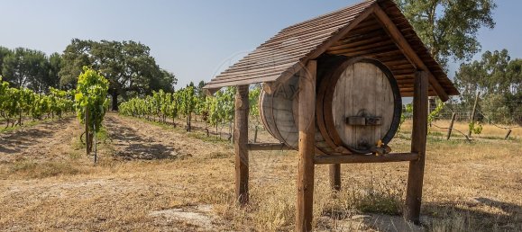 9 bedrooms House in Canha, Portugal No. 291187 28