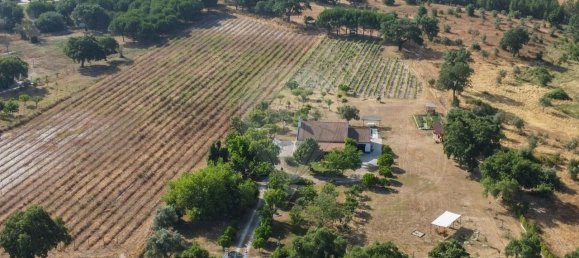 9 bedrooms House in Canha, Portugal No. 291187 46