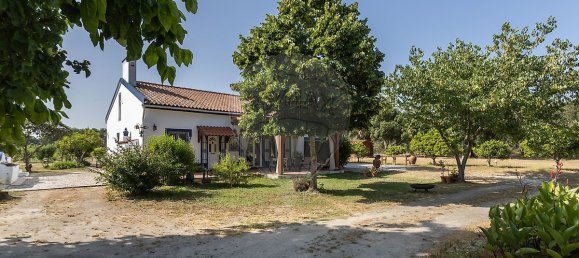 9 bedrooms House in Canha, Portugal No. 291187 5