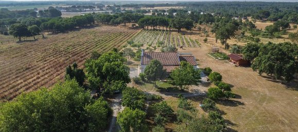 9 bedrooms House in Canha, Portugal No. 291187 47