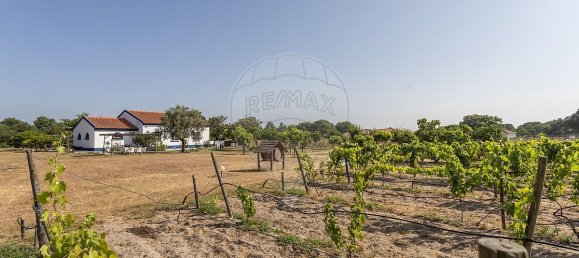 9 bedrooms House in Canha, Portugal No. 291187 29