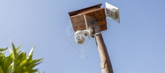 9 bedrooms House in Canha, Portugal No. 291187 18