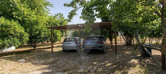 9 bedrooms House in Canha, Portugal No. 291187 4