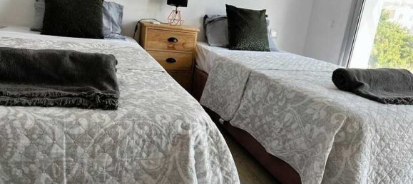 3 غرف نوم عقار تجاري في Pegeia, Cyprus رقم 20402 10