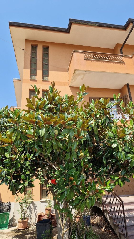 10 rooms House in Palermiti, Italy No. 255311