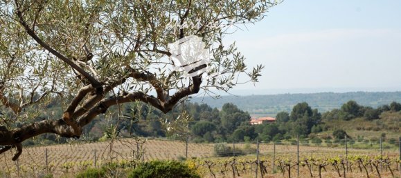  قطعة أرض في Garriguella, Spain 400متر مربع رقم 73564 29