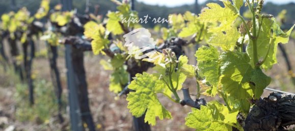  قطعة أرض في Garriguella, Spain 400متر مربع رقم 73564 19