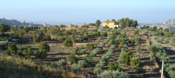 Terrain à Favara, Italy 22270m² No. 255498 7