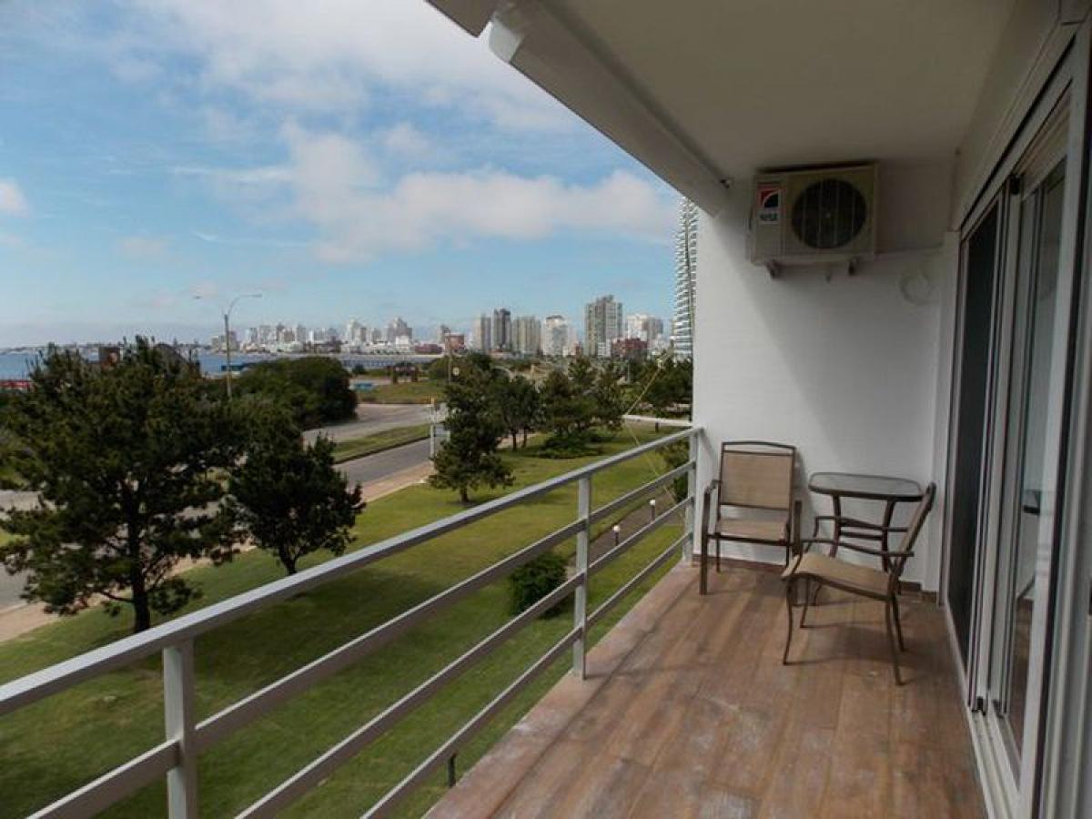 Estudio en Maldonado, Uruguay No. 12464