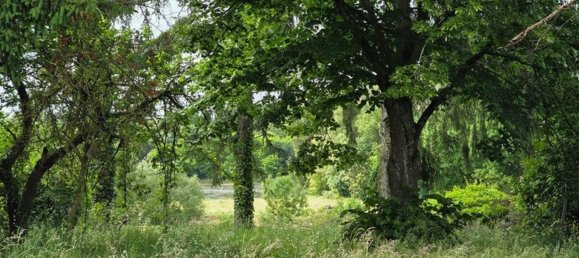 Дом с 3 спальнями в Кон-Кур-сюр-Луар, Франция № 271700 10