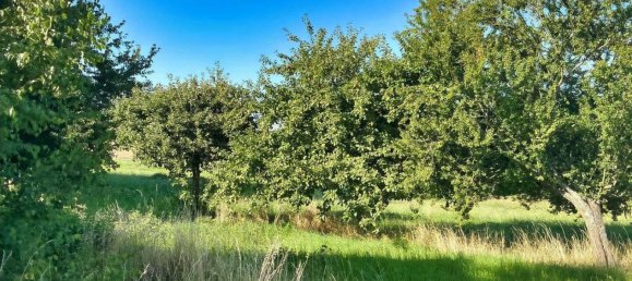 Quinta de 8 divisões em Erzgebirgskreis, Germany N.º 323628 26