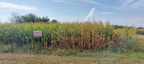 Земельный участок 13193м² в Паэзе, Италия № 357399 3