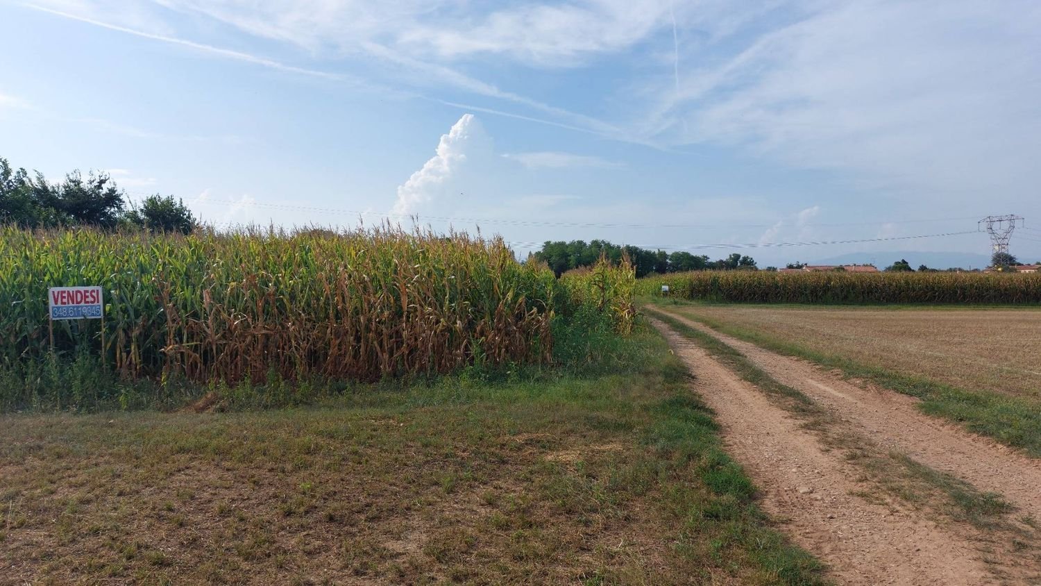 Земельный участок 13193м² в Паэзе, Италия № 357399