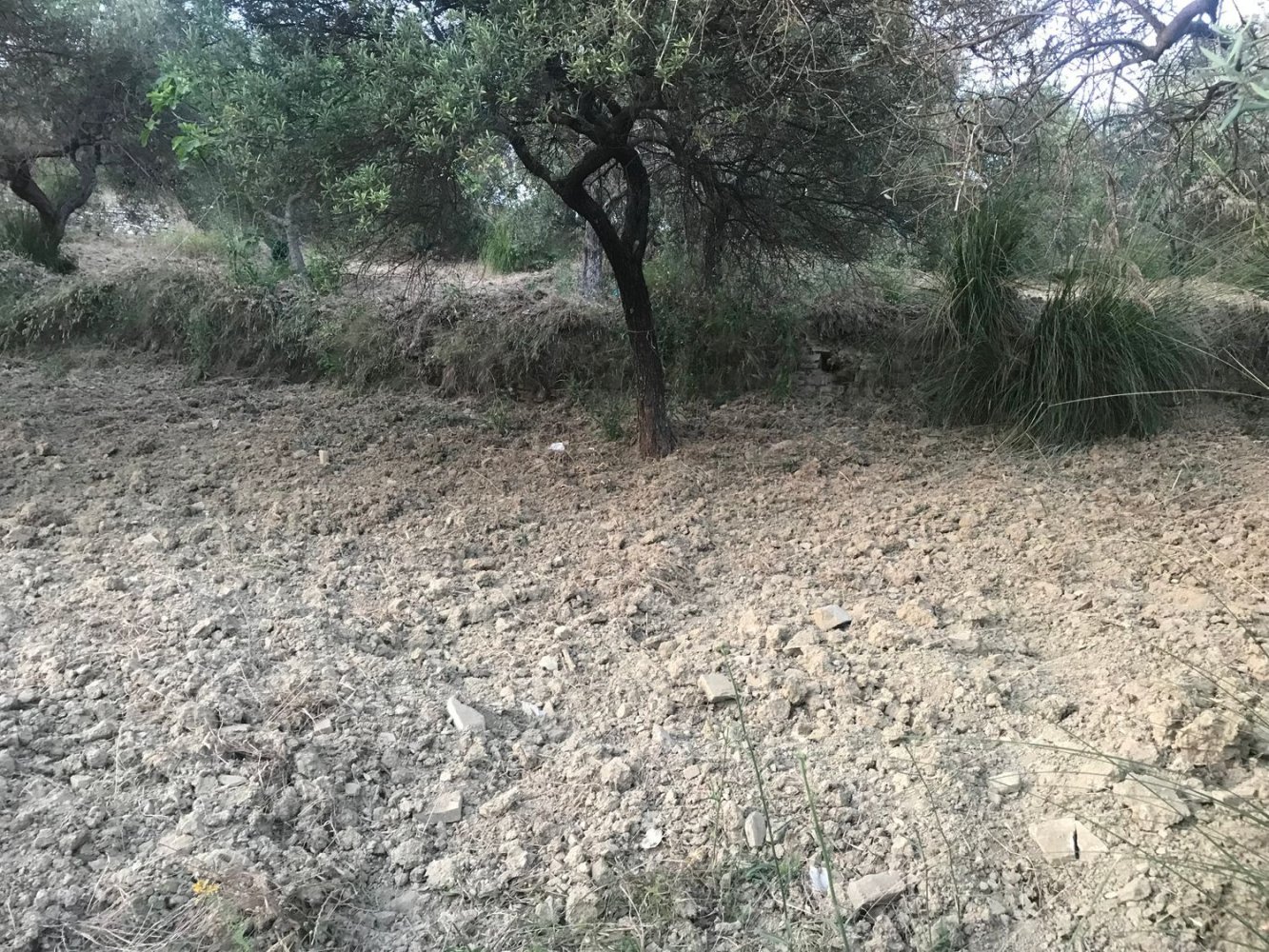13500m² Land in Perdifumo, Italy No. 255409