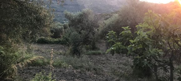 13500m² Land in Perdifumo, Italy No. 255409 2